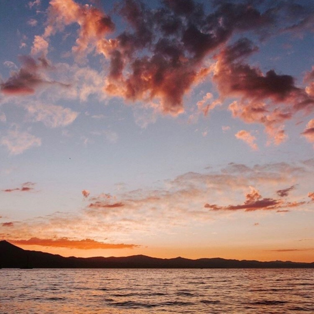 Meet your Posher, Anel